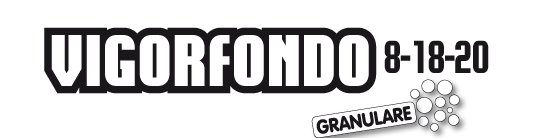 VIGORFONDO <br />8-18-20